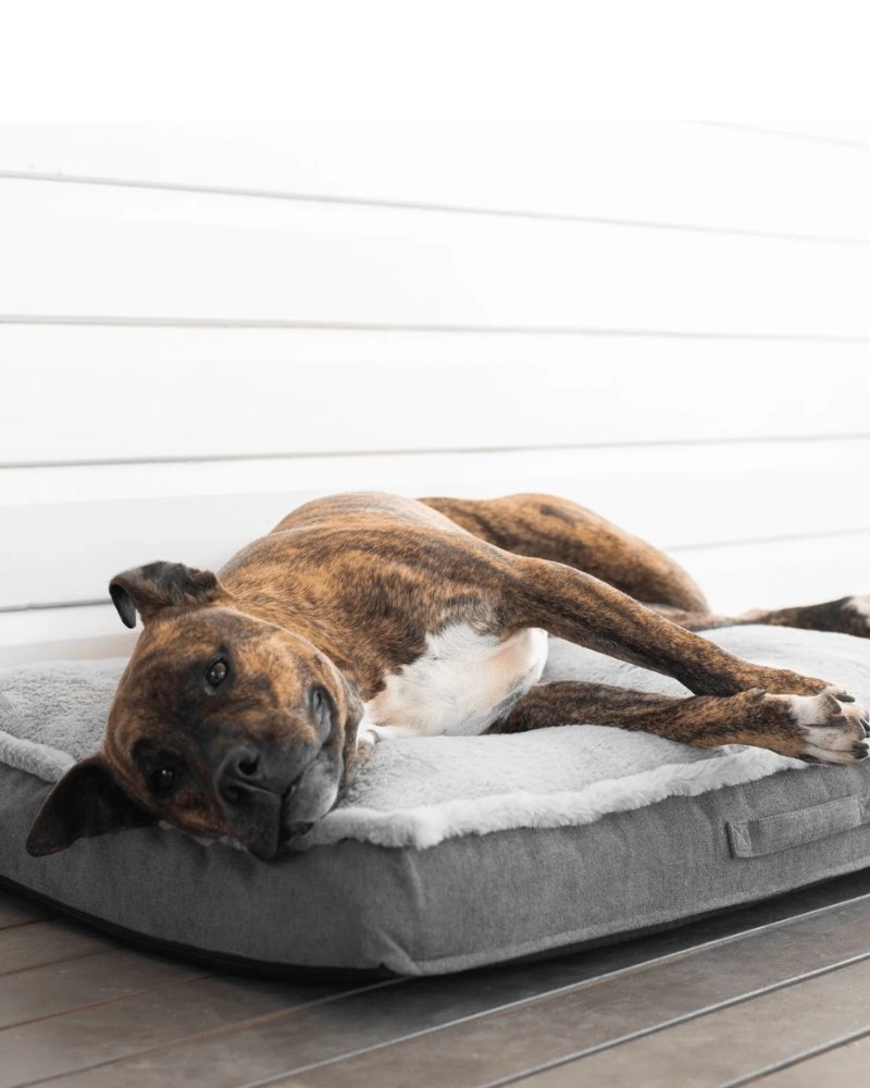 This Winter Pledge to Provide a Mattress
