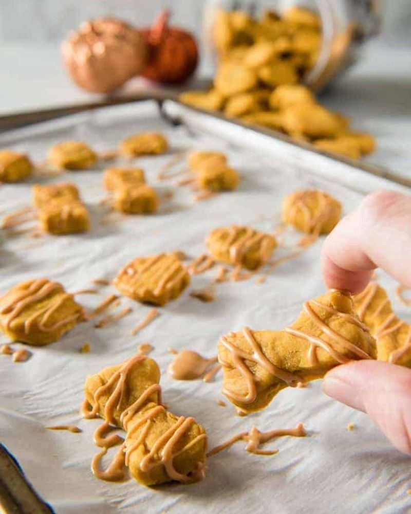 Season’s Greetings with Peanut Butter and Pumpkin Treats