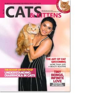 Cats & Kittens