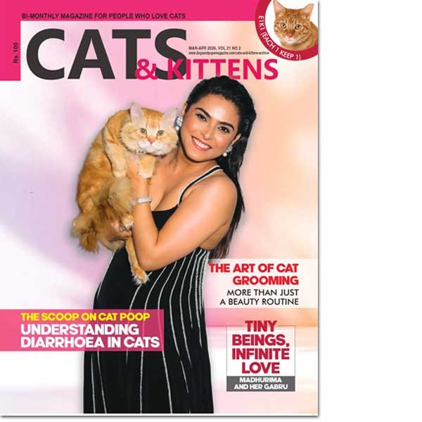 Cats & Kittens