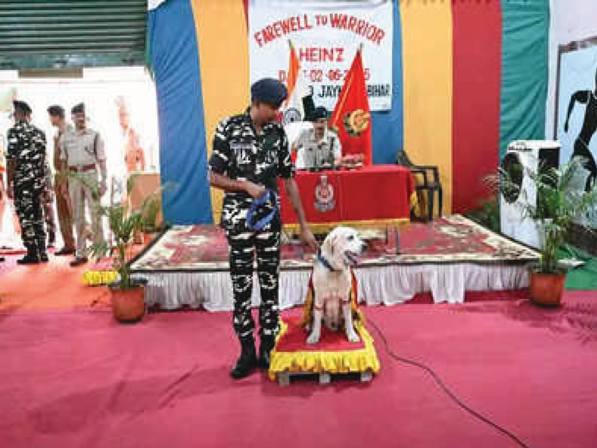Gallants Tails & Warrior Paws of Our Canine War Heroes