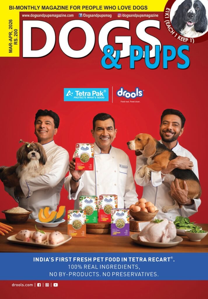 Dogs & Pups - March April 2026 Issue