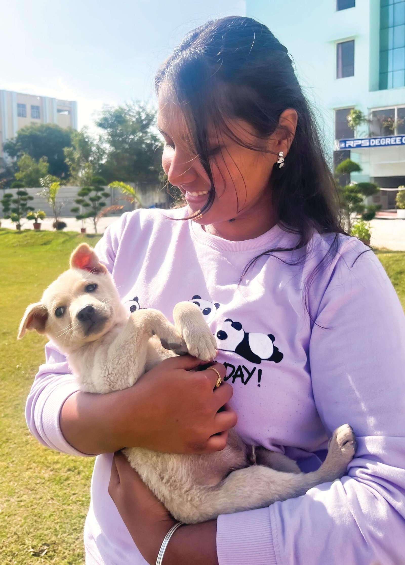 Paws In The Shade: Summer Pet Care Made Easy