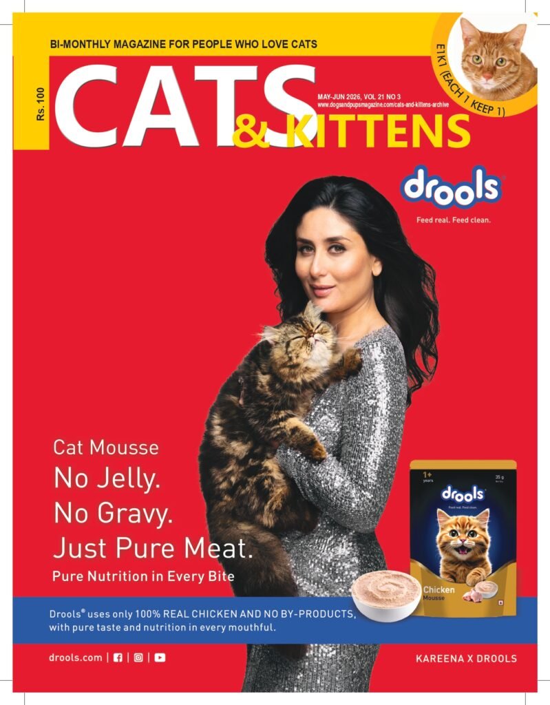 Cats & Kittens Magazine 2026