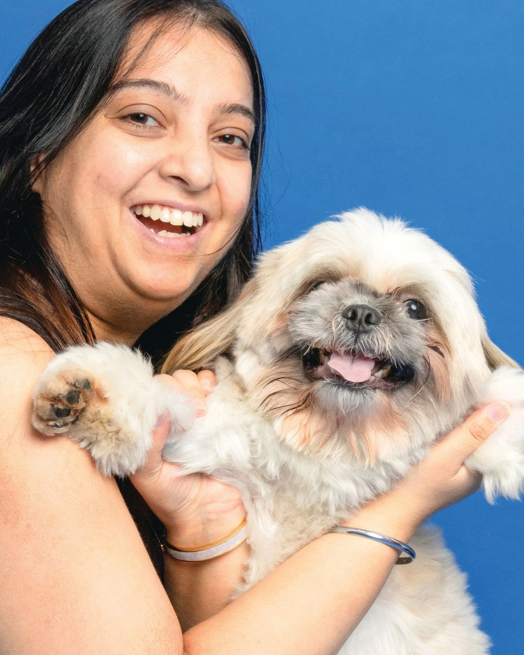 Spreadsheets and a Shih Tzu: What Animals Taught Me About Energy and Intuition?